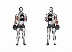 Image result for Arm Workouts with Dumbbells