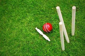 Image result for Cricket HD Wallpapers for Laptop 4K