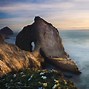 Image result for Pacific City Washington