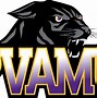Image result for Texas College Football Logo