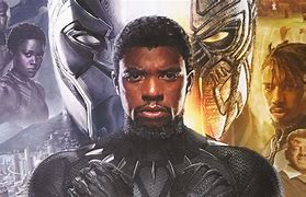 Image result for Black Panther Movie Characters