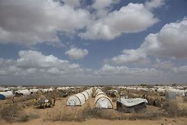 Image result for Dadaab Refugee Camp