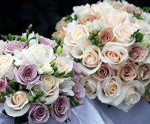 Image result for Wedding Rose Background