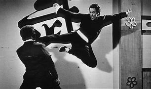 Image result for Bruce Lee Fly Kick