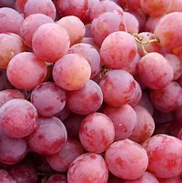 Image result for Red Wine and Grapes