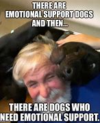Image result for Emotional Support Animal Meme