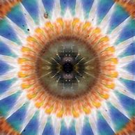 Image result for Trippy Yellow Background GIF