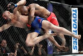 Image result for MMA Fighting Style