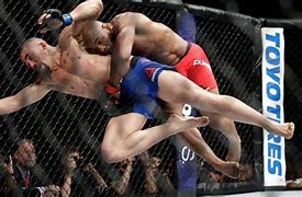 Image result for Fighting Styl