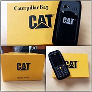 Image result for Cat B25 Phone