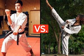 Image result for Martial Arts Karate Taekwondo