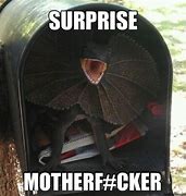 Image result for Surprise Mail Meme