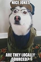 Image result for Hipster Dog Meme