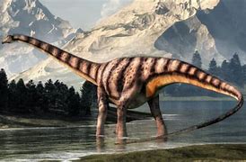 Image result for Sauropodos