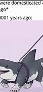 Image result for Best Shark Memes