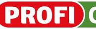 Image result for Profi City Logo