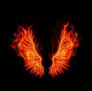 Image result for Fiery Angel Wings