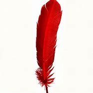 Image result for Real Feather Necklaces for Women