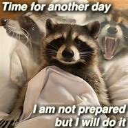 Image result for Good Good Raccoon Meme