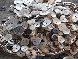 Image result for Types of Shell Buttons