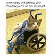 Image result for Asthma Cat Meme