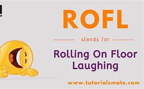 Image result for What Does Rofl Mean