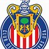 Image result for Club America Outline