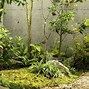 Image result for Japanese Small Garden House