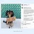 Image result for Instagram Model Dog