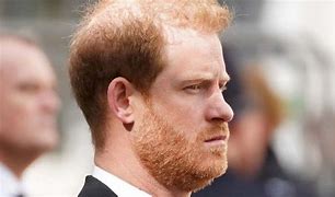Image result for Prince Harry Military Pic with Beard