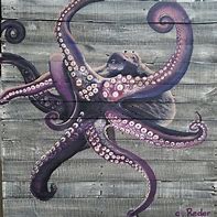 Image result for Cool Abstract Octopus Drawing