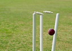 Image result for Cricket Wicket