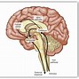 Image result for Affect vs Effect Worksheet