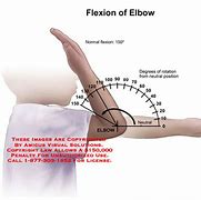 Image result for Elbow Joint at 90 Degrees