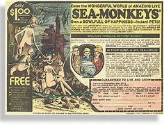 Image result for Sea Monkeys Add