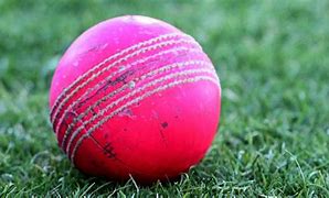 Image result for Cricket Sets Sport