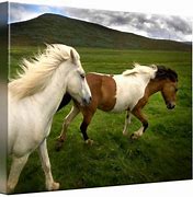 Image result for Wild Horses Running Wallpaper