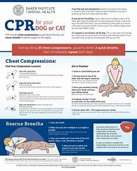 Image result for Animal CPR Chart Printable