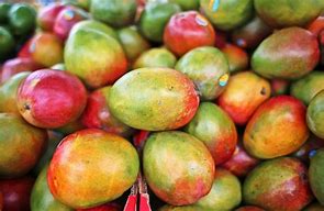 Image result for Green and Red Fruit