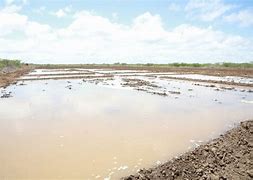 Image result for Somaliland Irrigation