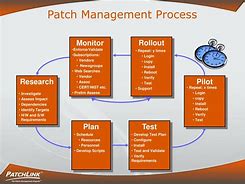 Image result for Pmarchp Process