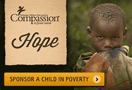 Image result for Compassion Examples