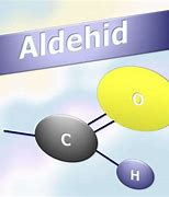 Image result for aldeh�difo