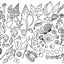 Image result for Sea Shells Coloring Page Printable