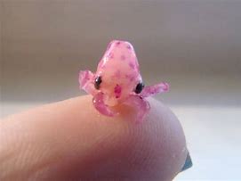 Image result for Cute Little Octopus