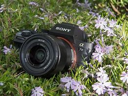 Image result for Pictues Taken with the Sony Alpha A7 2
