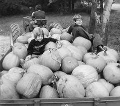 Image result for Pumpkin Picking Se7 7FW