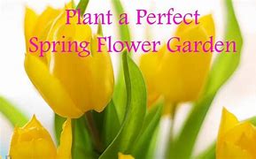 Image result for Spring Flower Planting Guide