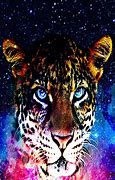 Image result for Cool Animals Galaxy