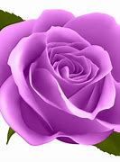 Image result for Free Transparent Purple Rose Clip Art